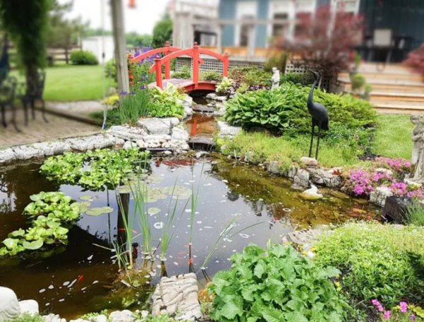 Taman dengan kolam koi dan jembatan kecil